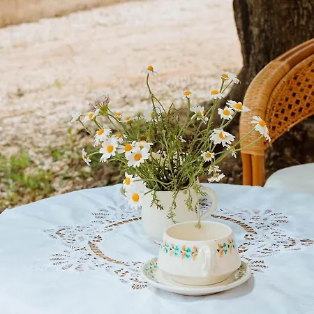 Trullo Delori With Infinity Pool Вилла